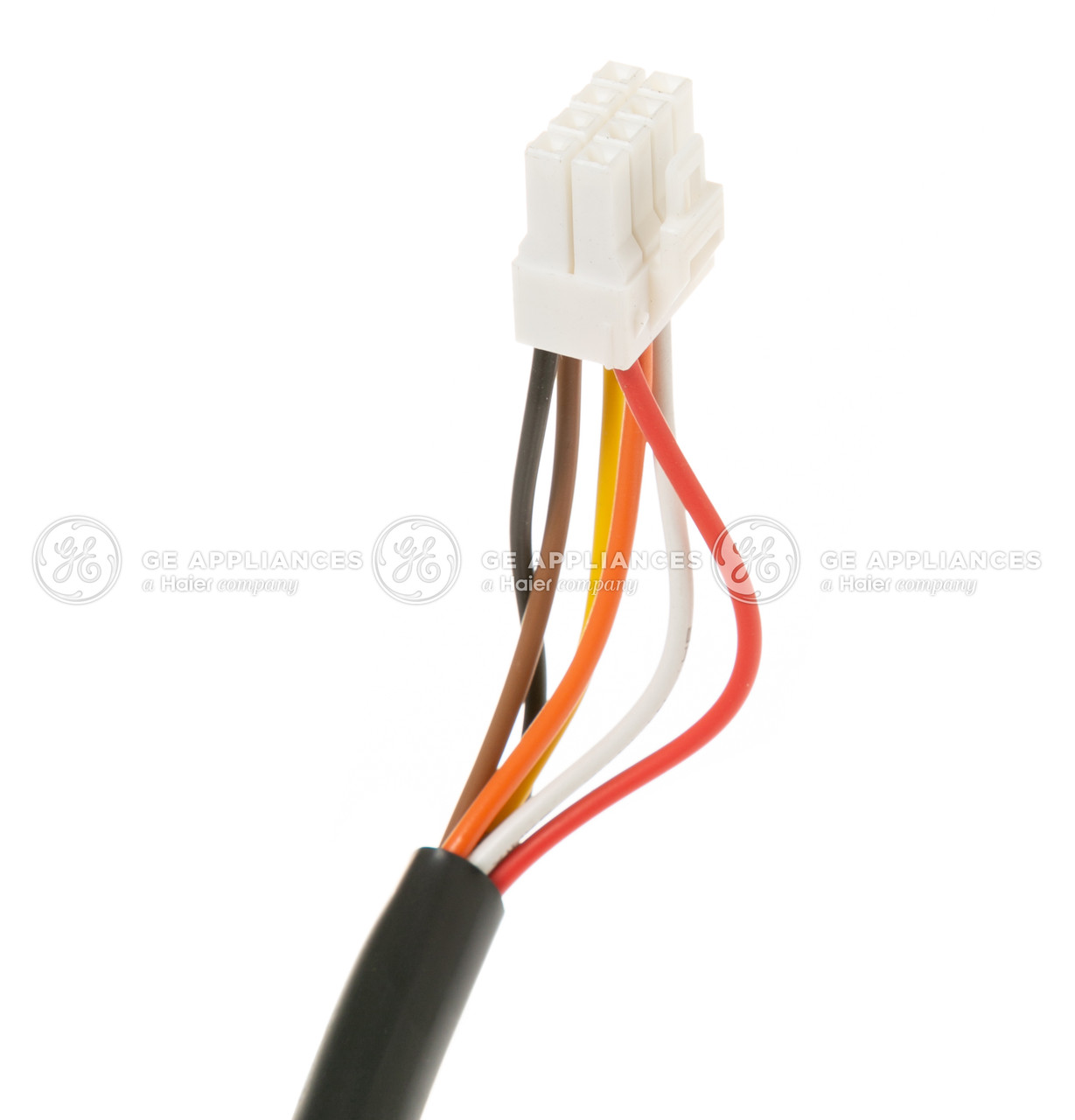 WP94X10226-8099.jpg