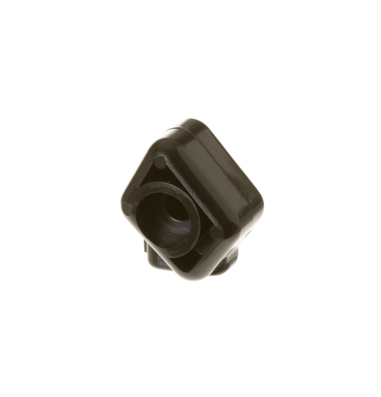 WD9X312-3781.jpg