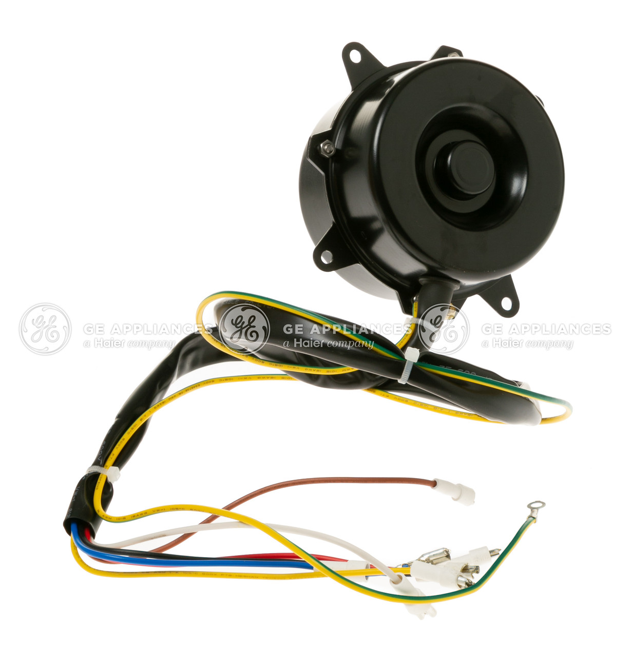WJ95X10030-8575.jpg