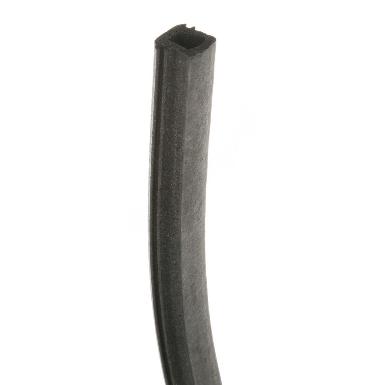 WD08X10003-5563.jpg