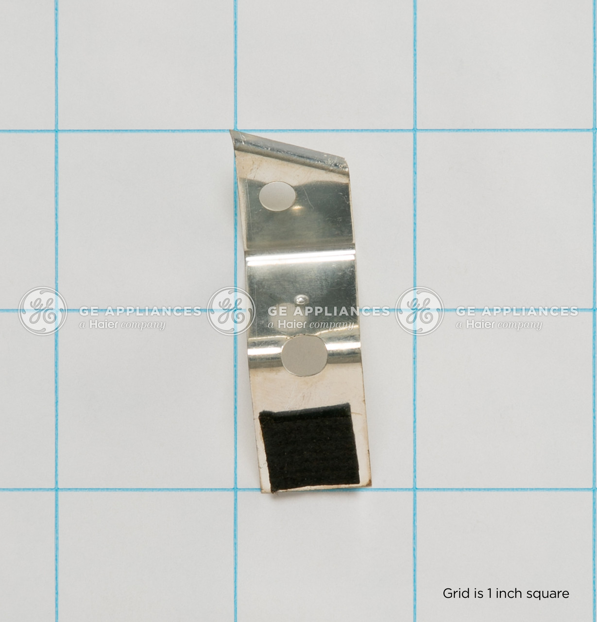 WE1X1172-9802.jpg