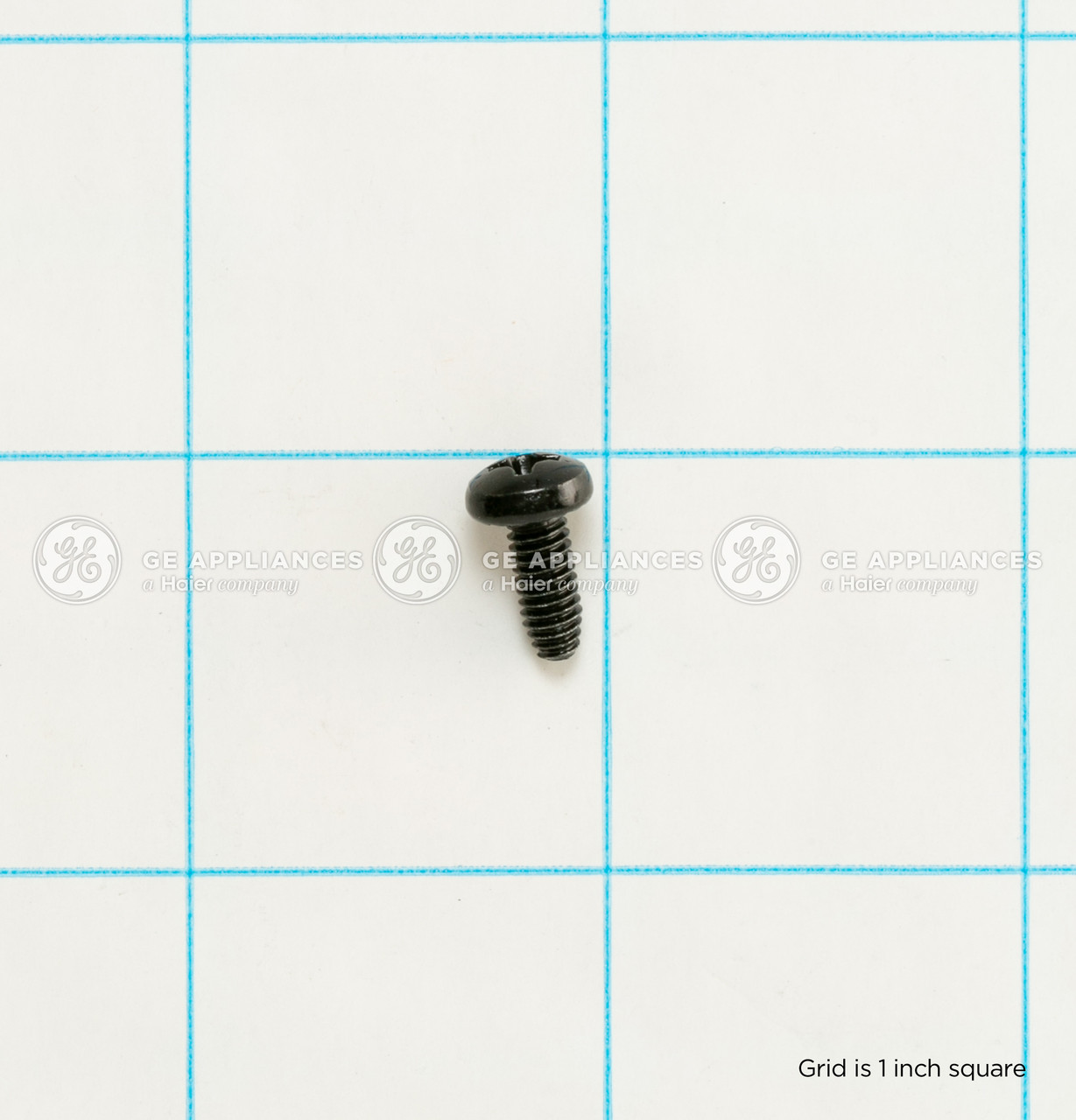 WD02X24608-6255.jpg