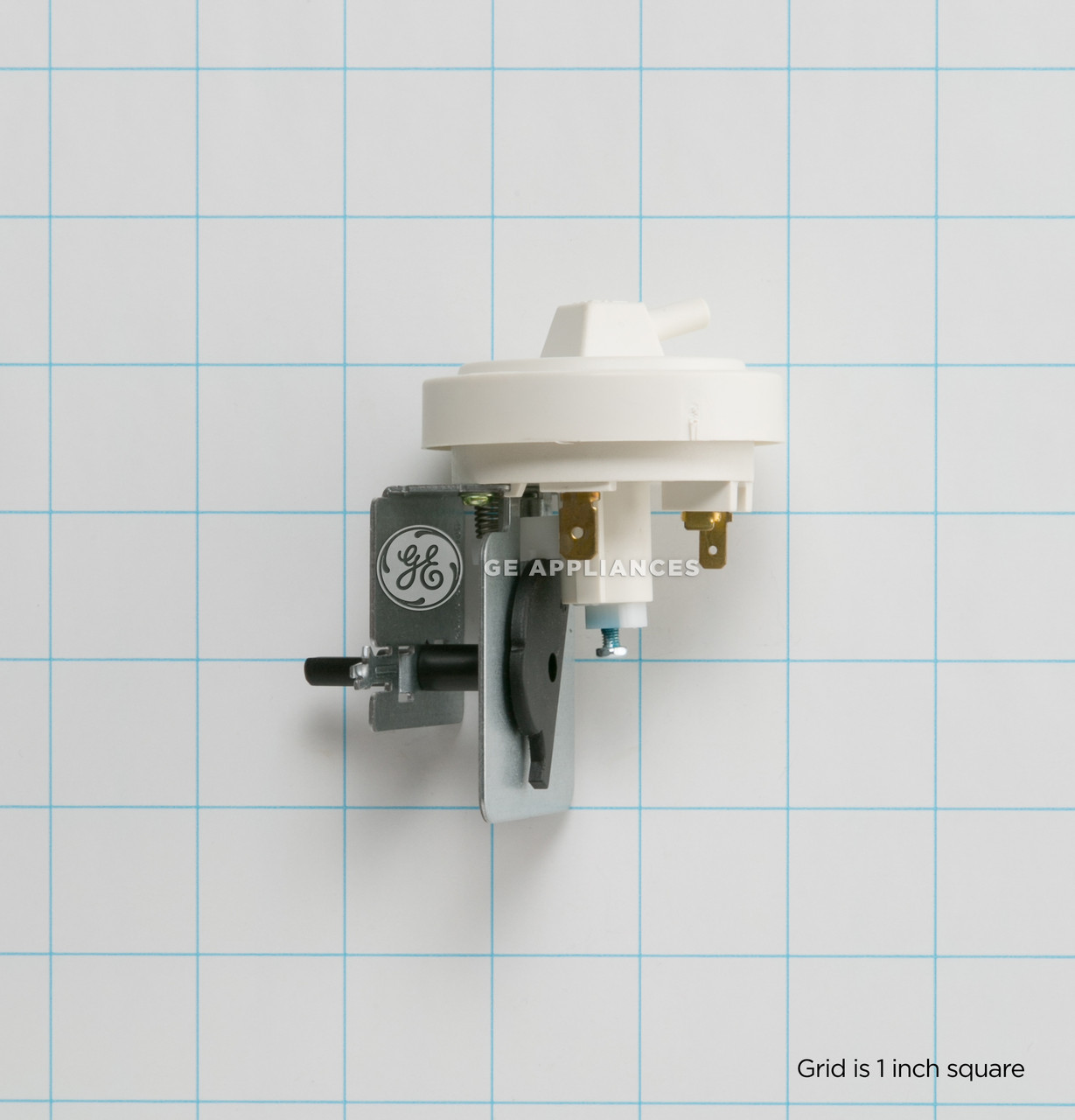 WH12X10173-8034.jpg