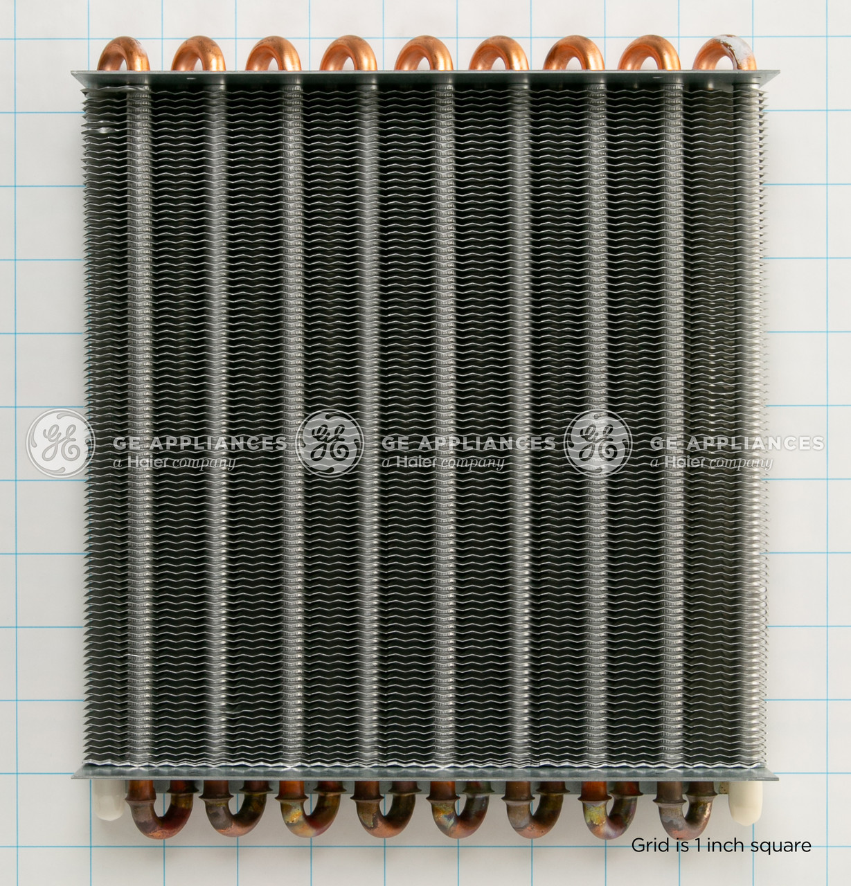 WR84X212-7184.jpg