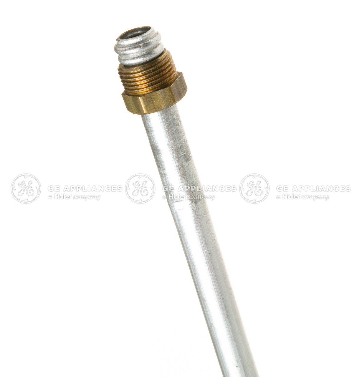 WB28T10095-7319.jpg
