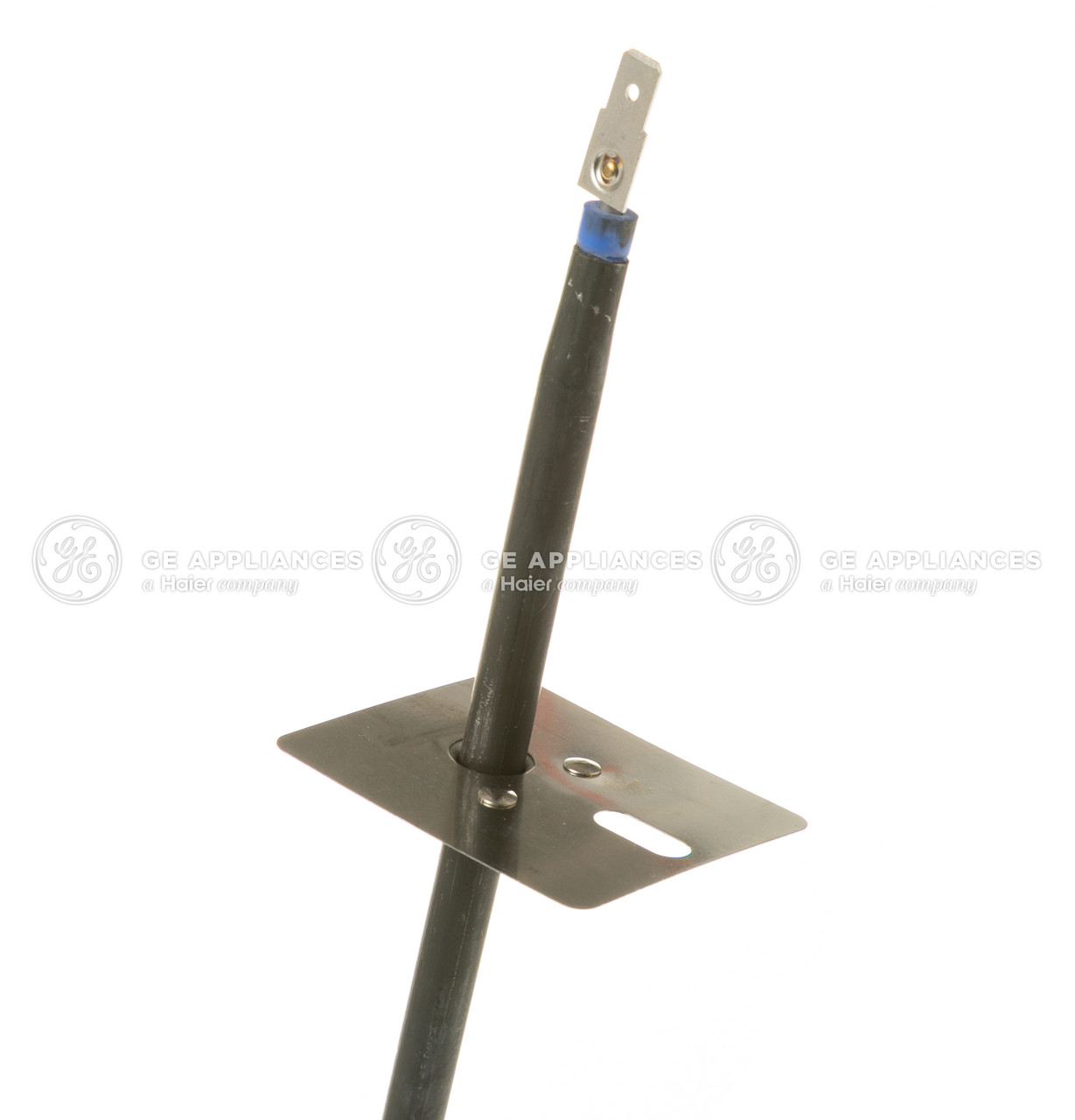 WB44X10038_2237.jpg WB44X10038_2237.jpg