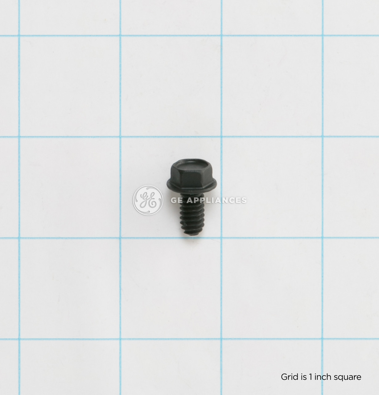 WH02X10123-3578.jpg