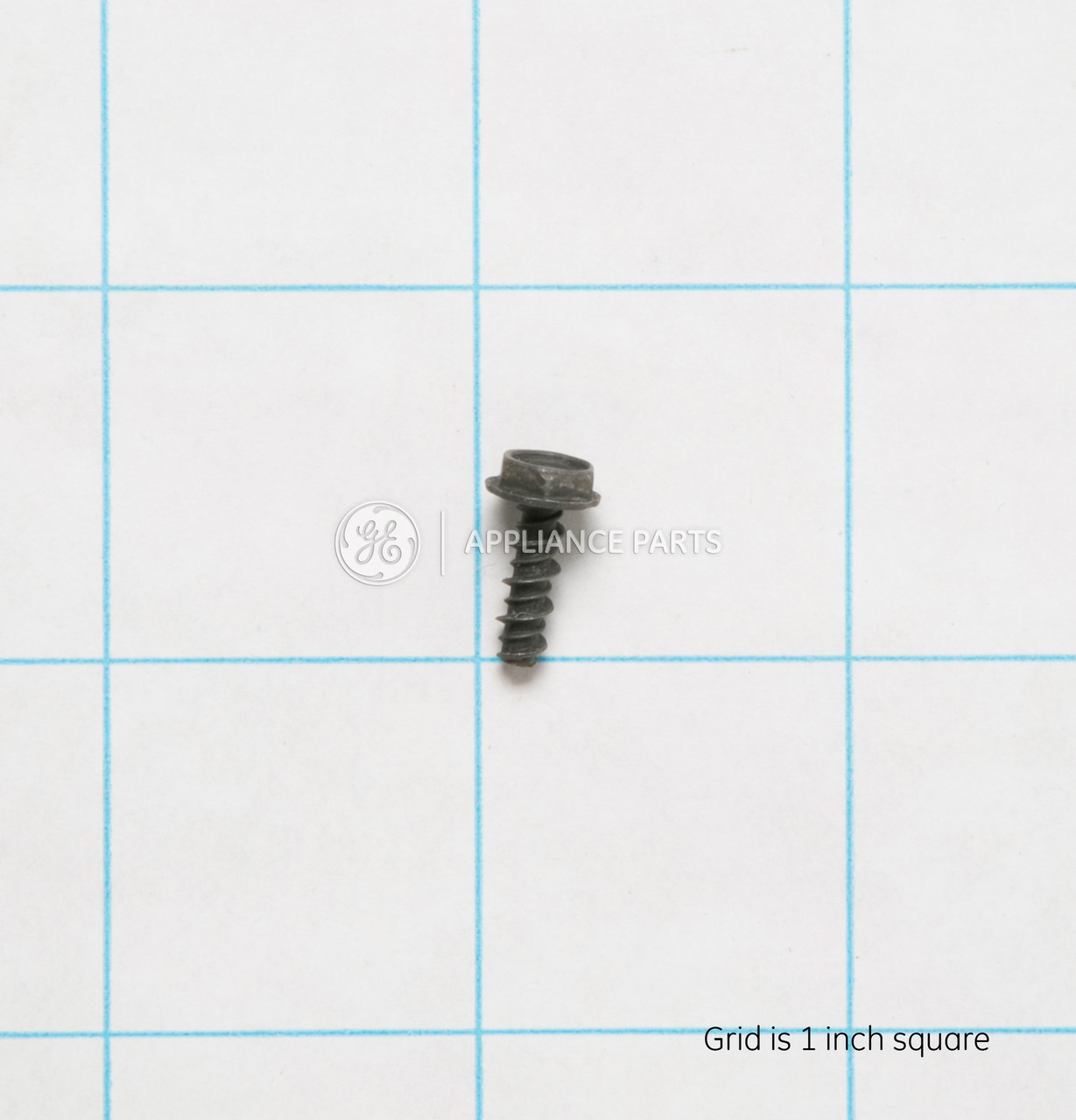 WR1X1850-1707.jpg