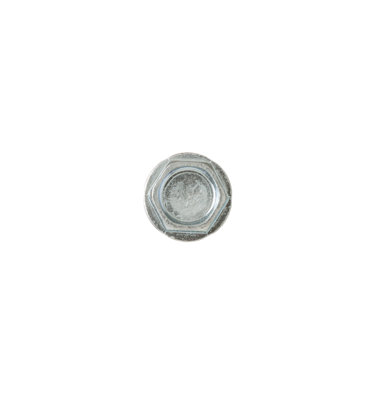 WR1X1959-0016.jpg