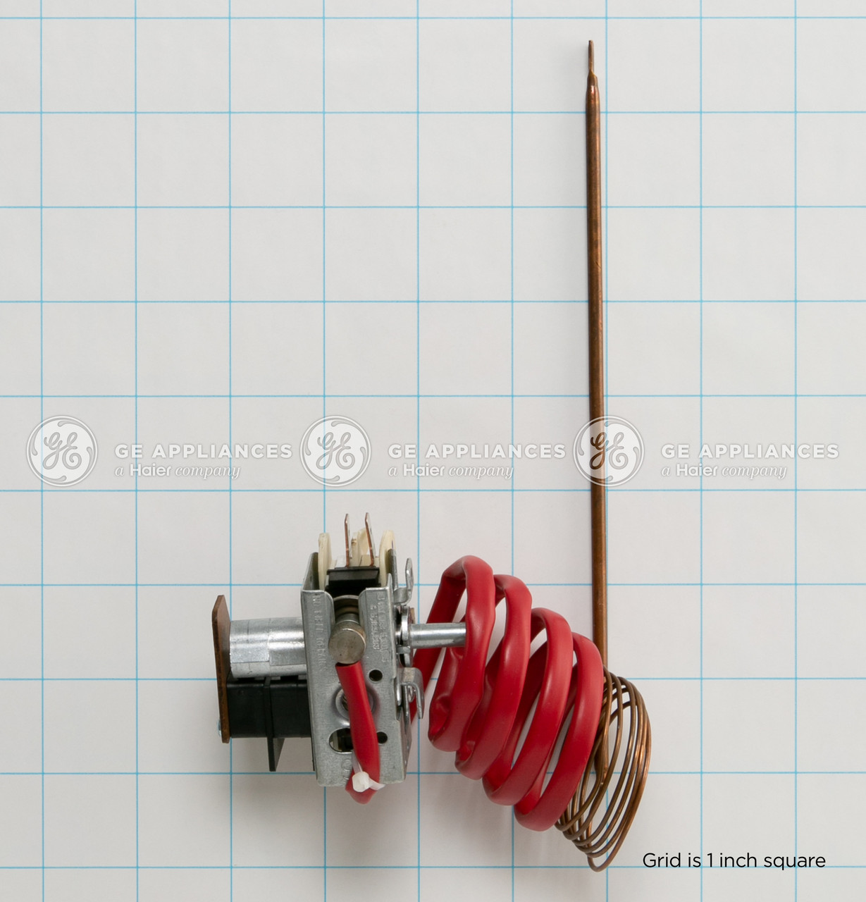 WB20T10002-1567.jpg