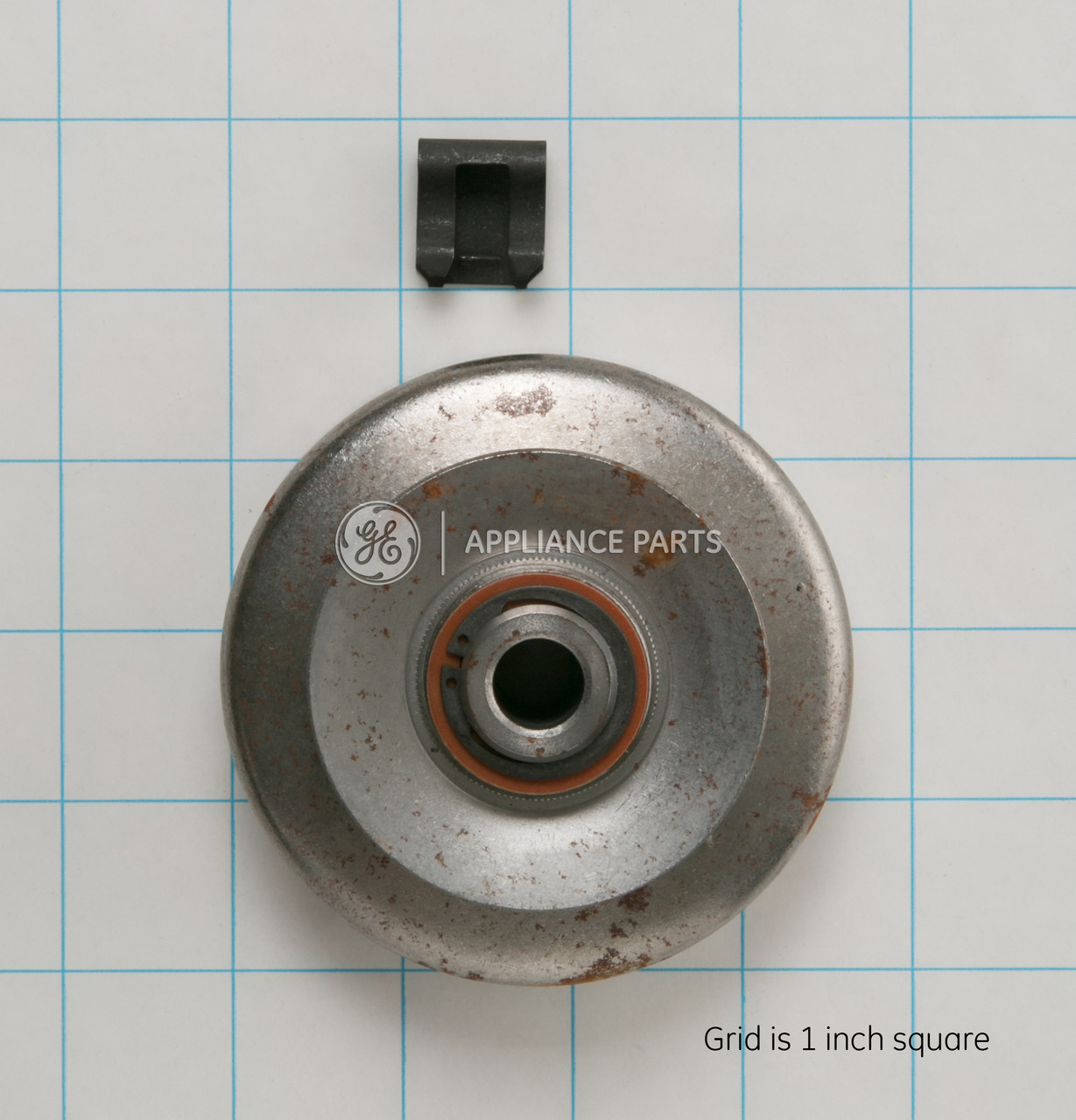 WH5X256-6766.jpg