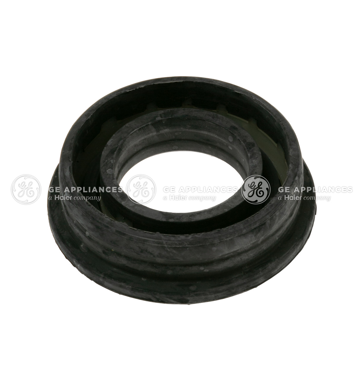 WD08X25471-8395.jpg