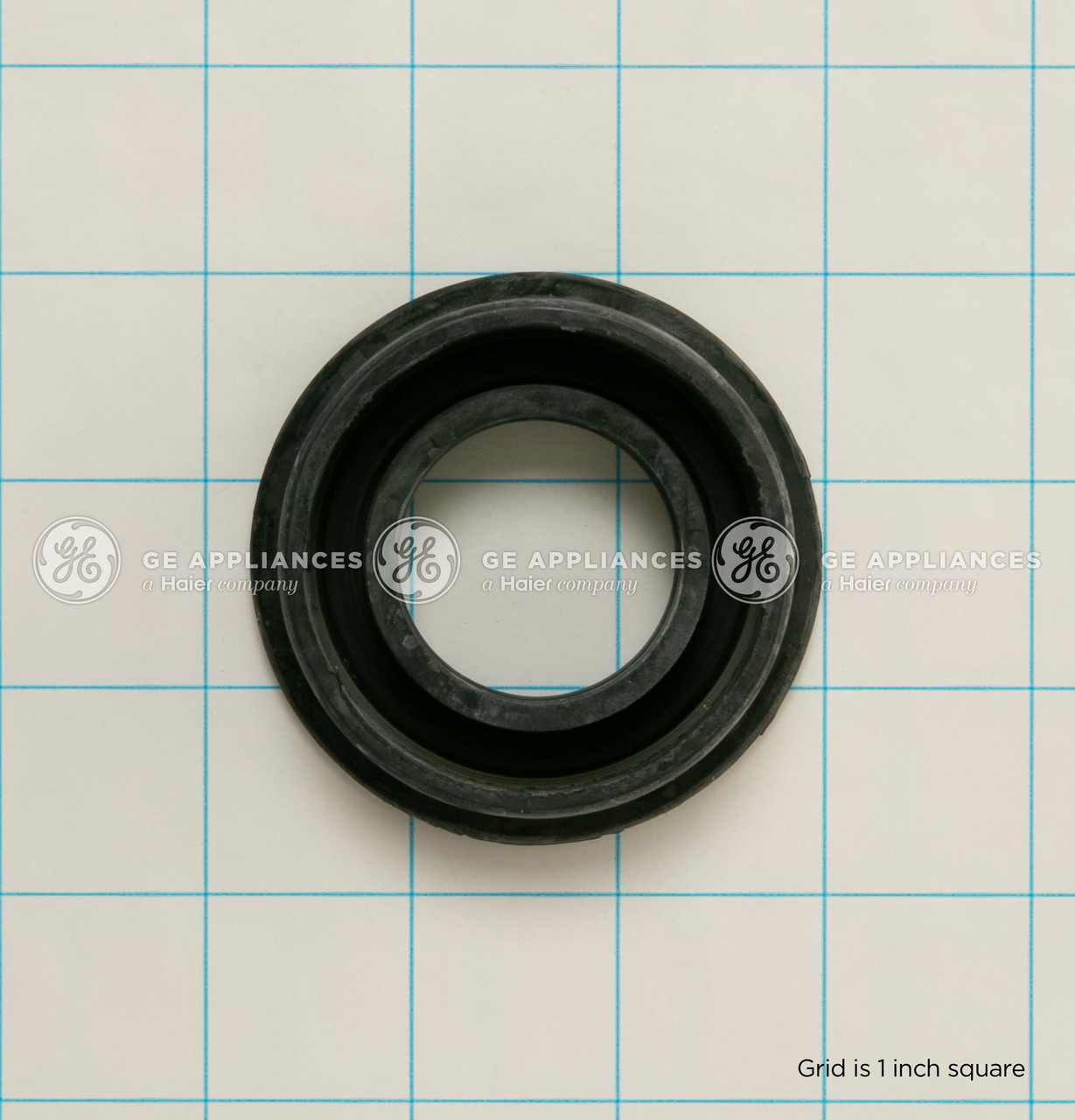 WD08X25471-8683.jpg