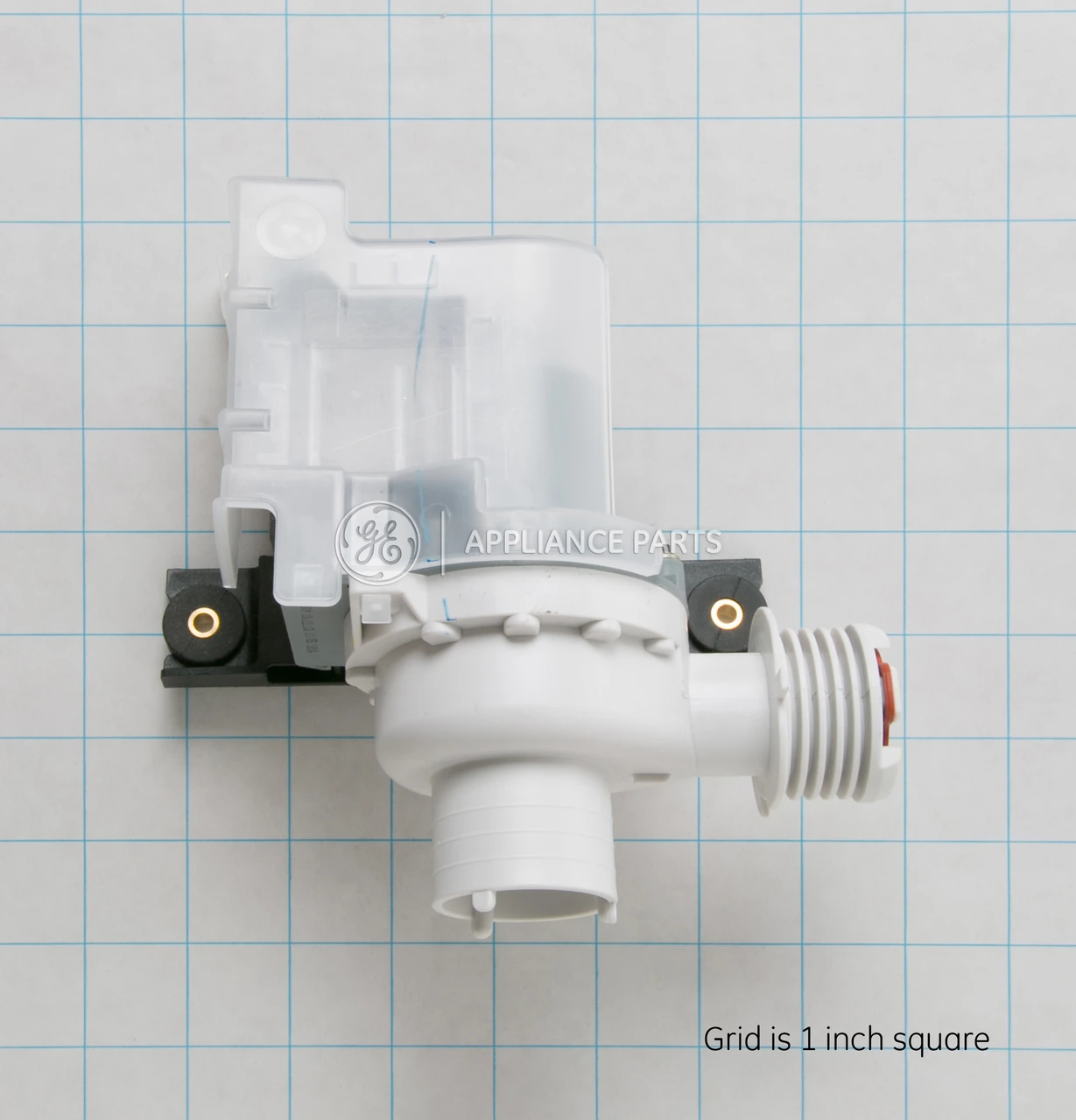 WH23X10016-7927.jpg