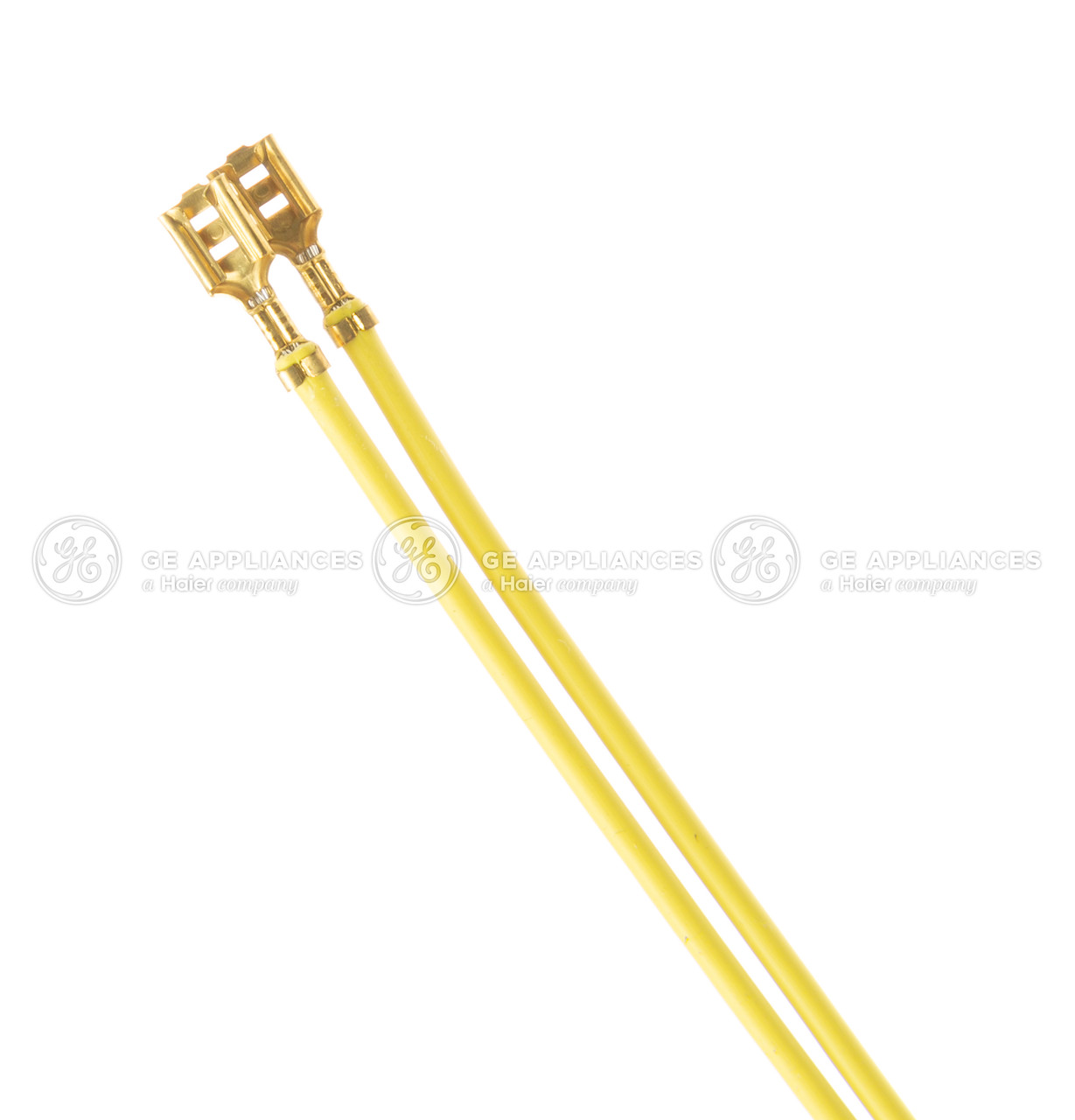 WB18T10466-8409.jpg WB18T10466-8409.jpg