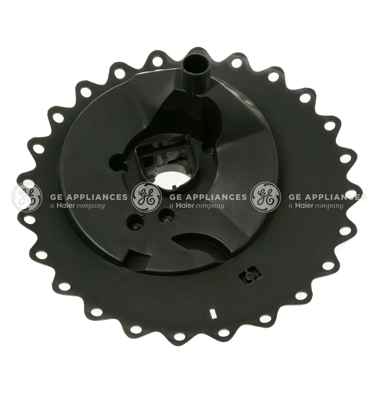 WD22X24332-6572.jpg