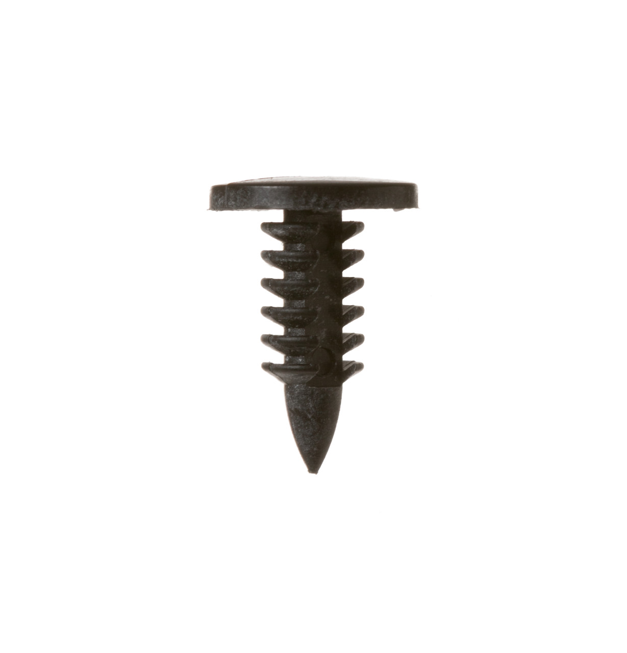 WE1M741-9590.jpg