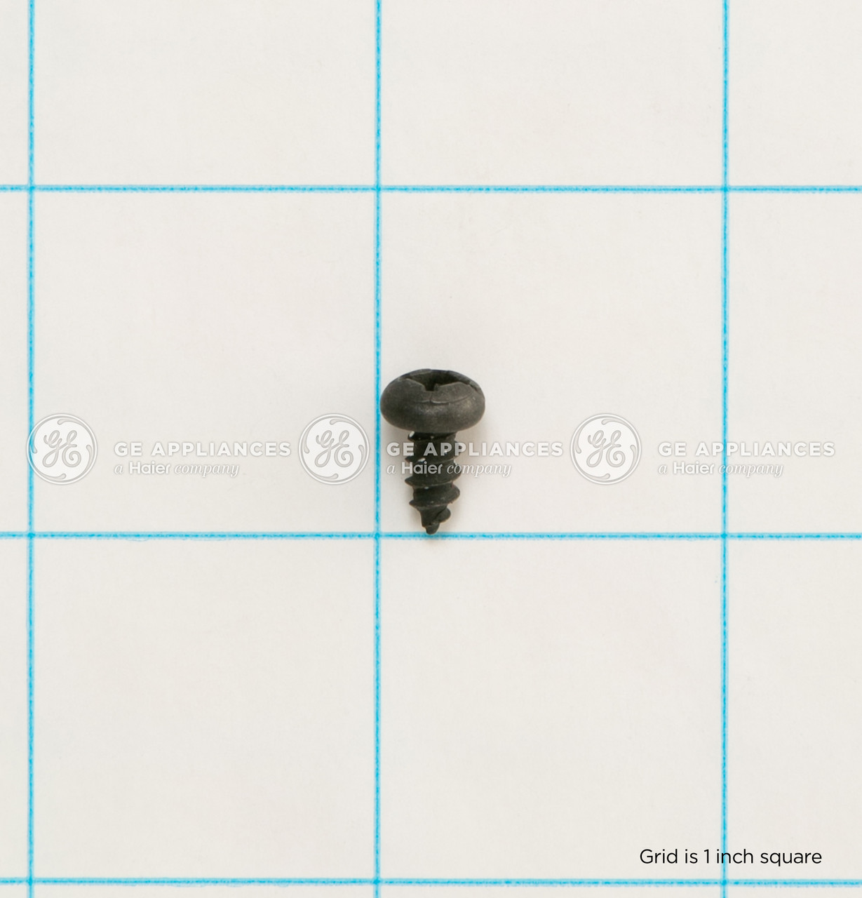 WD2M101-1405.jpg