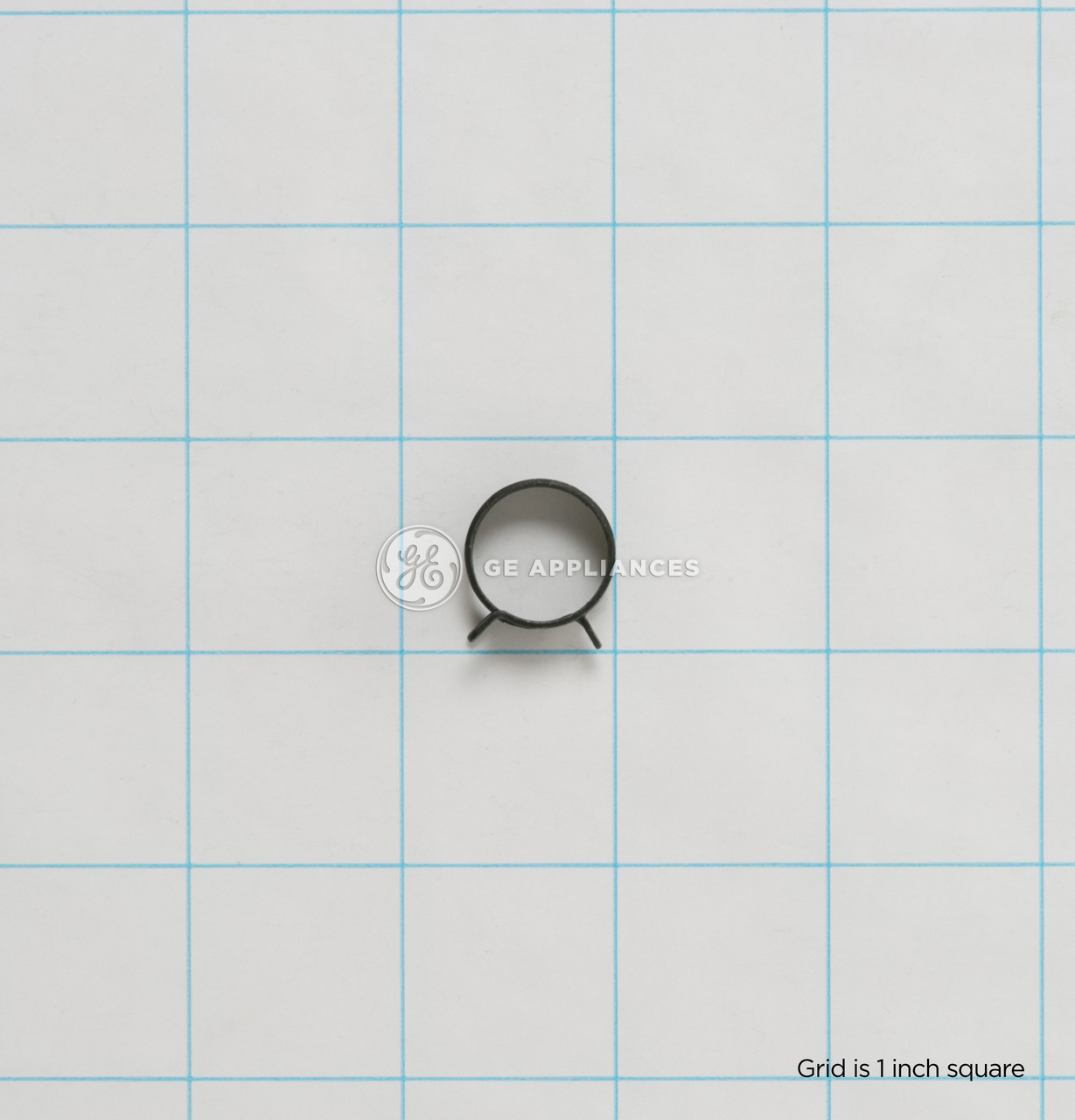WH01X10048_3040.jpg