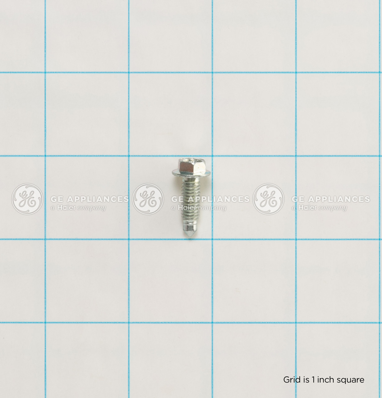 WR01X25813-7846.jpg