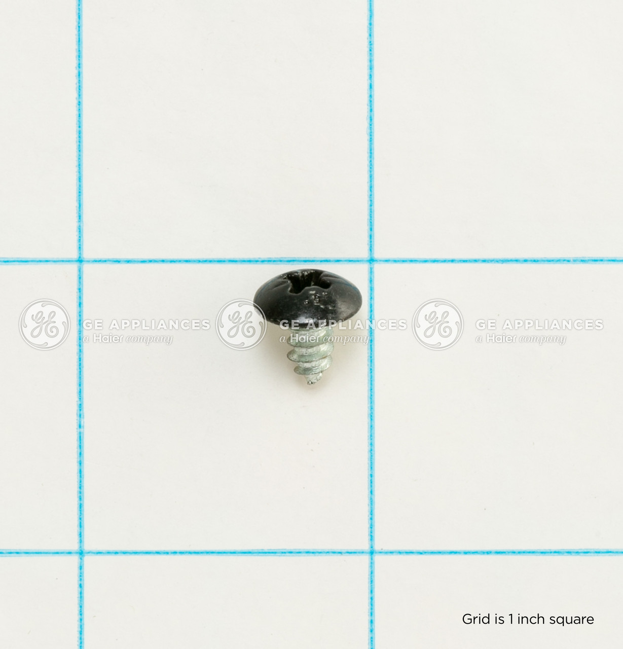 WD2X432-7478.jpg WD2X432-7478.jpg