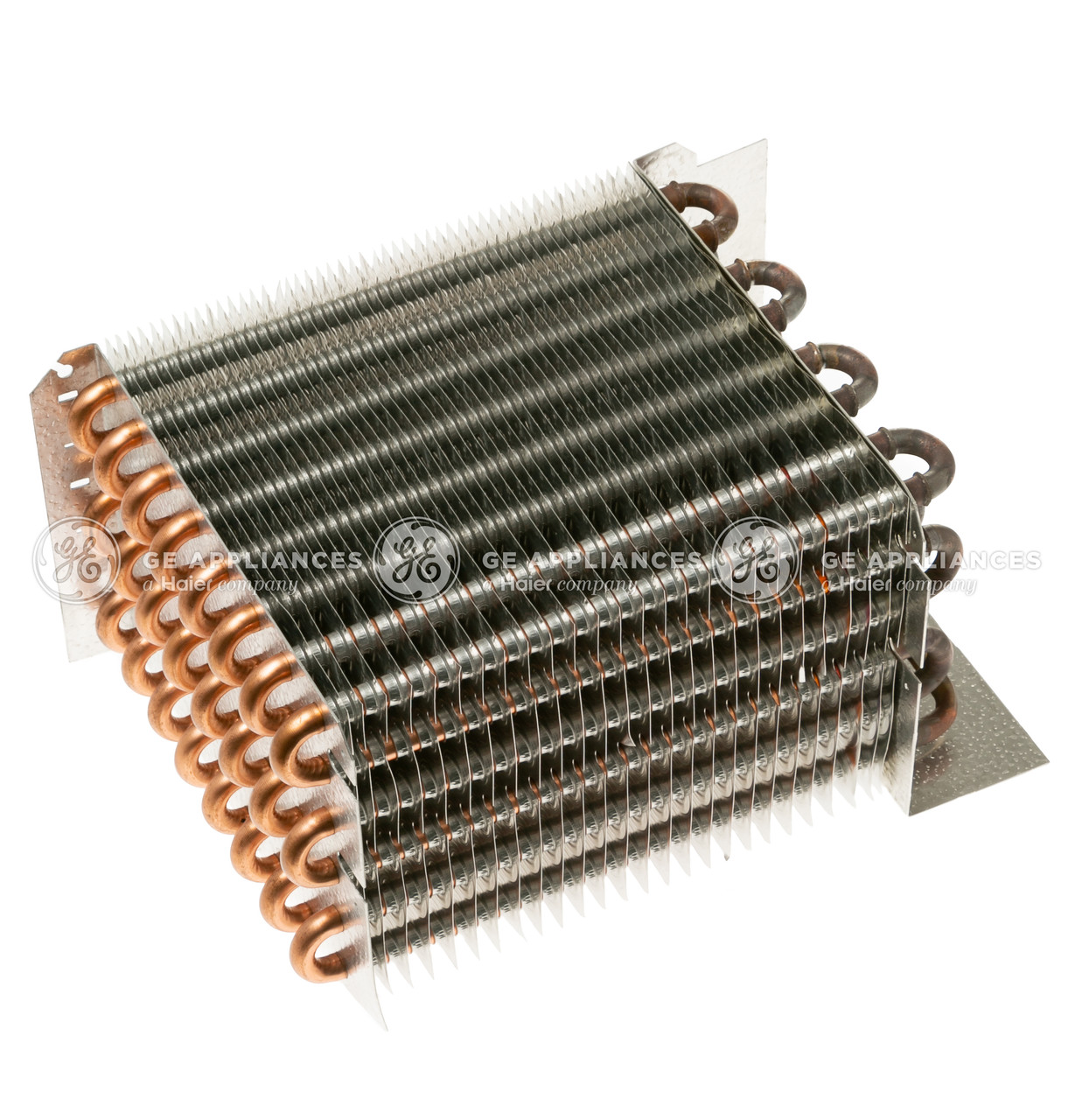 WR85X10039-0538.jpg