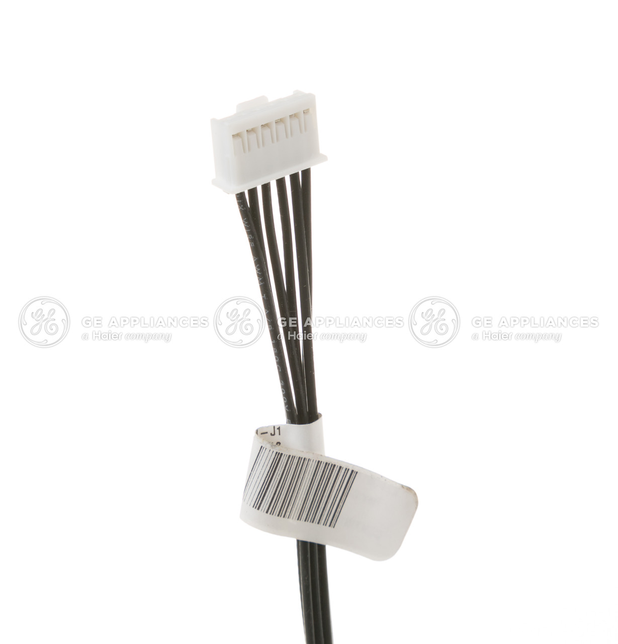 WB18T10451-2631.jpg WB18T10451-2631.jpg