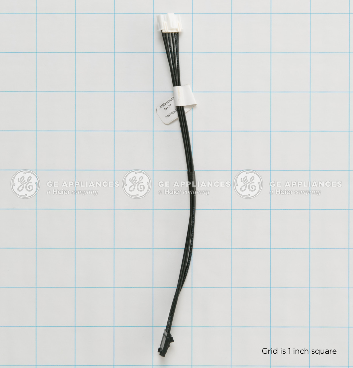 WB18T10451-3497.jpg WB18T10451-3497.jpg