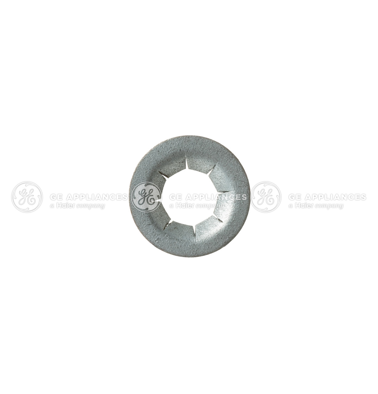 WH2X885D-5576.jpg