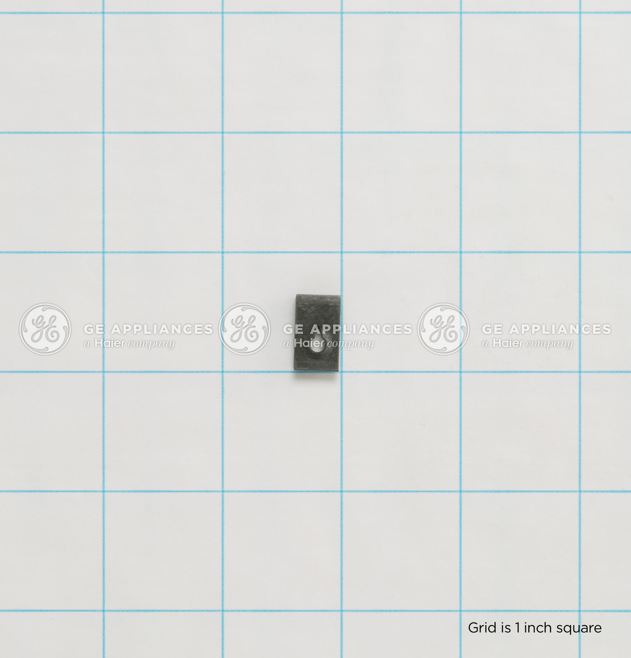 WB1K5209-4157.jpg WB1K5209-4157.jpg