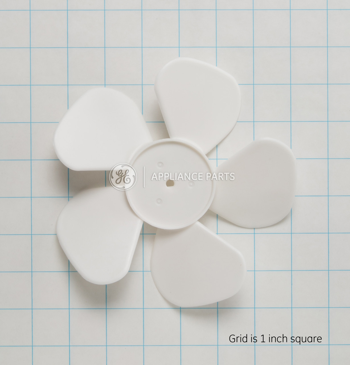 WB02X11025-4129.jpg WB02X11025-4129.jpg