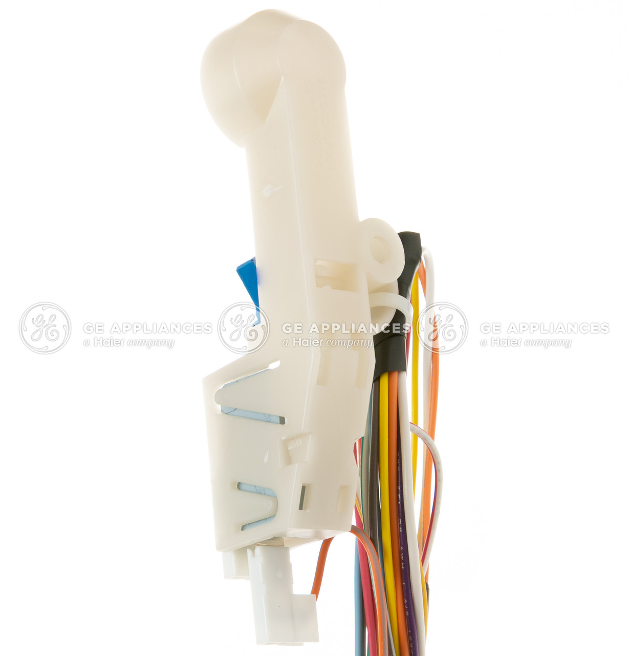 WD21X23564-5346.jpg