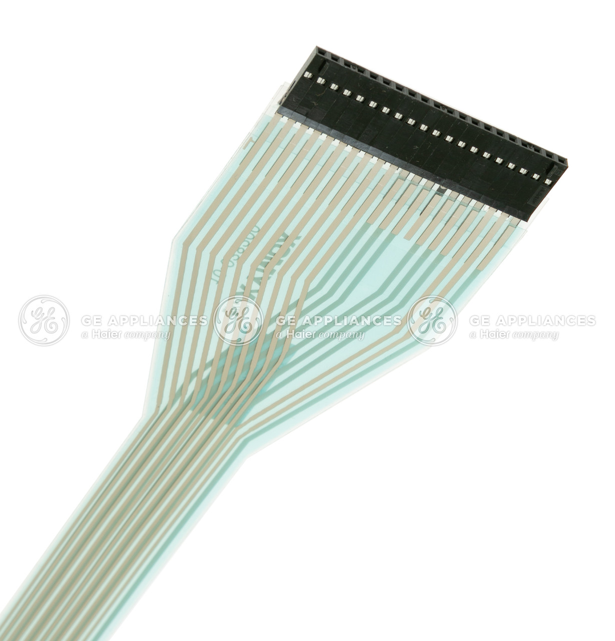 WD34X11609-8556.jpg