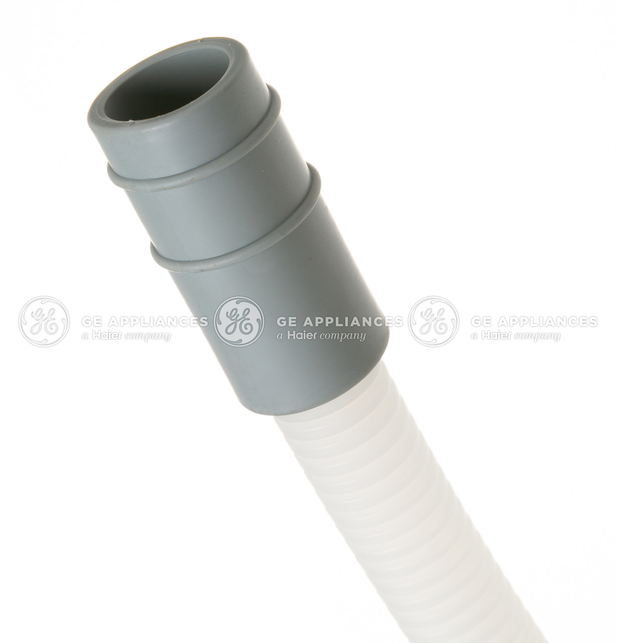 WD24X24650-0167.jpg