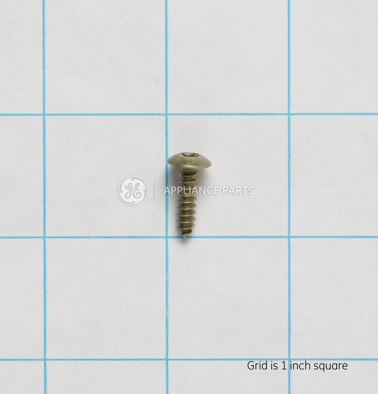 WR01X10038-6737.jpg