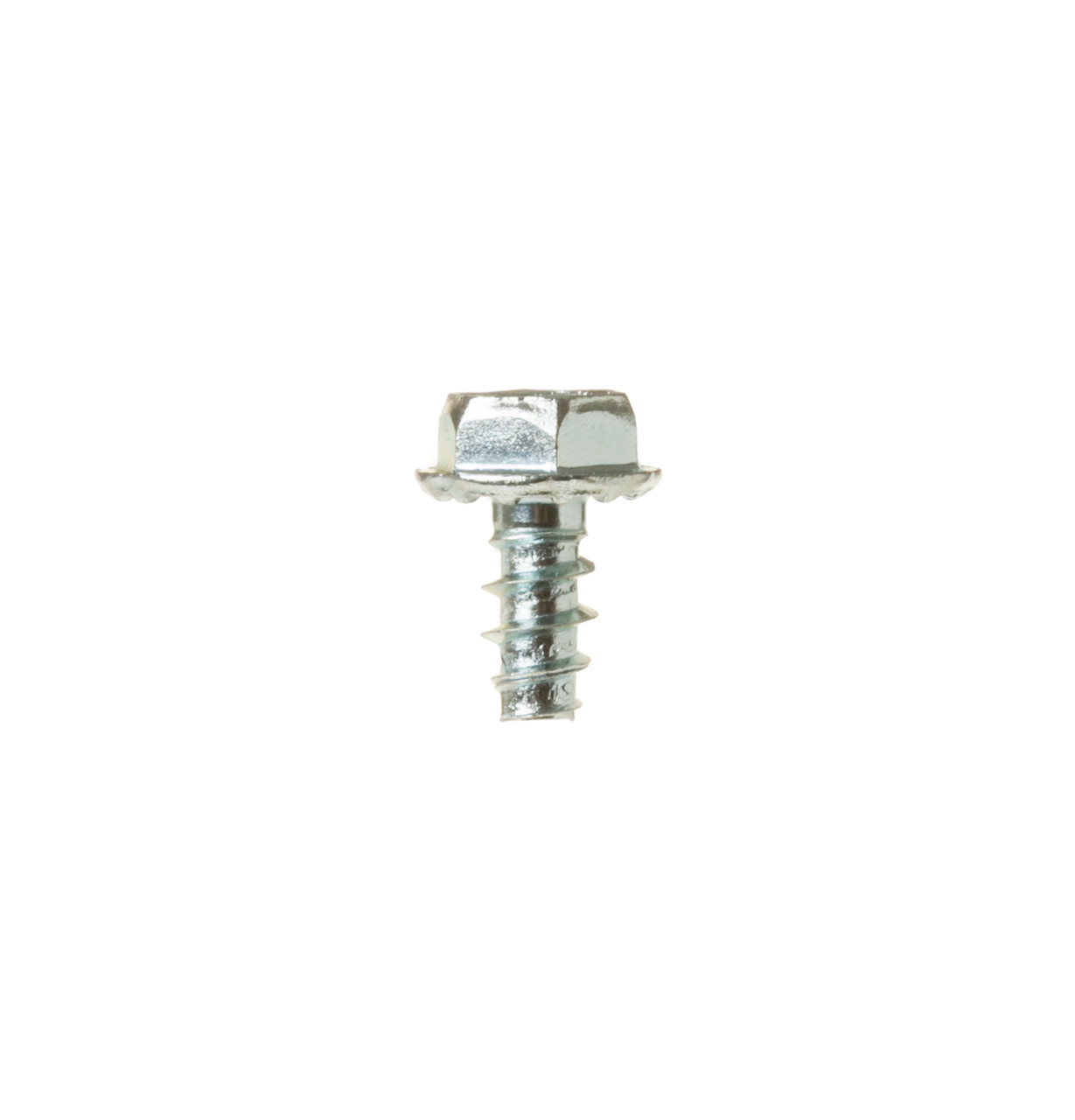 WD2X448-3069.jpg