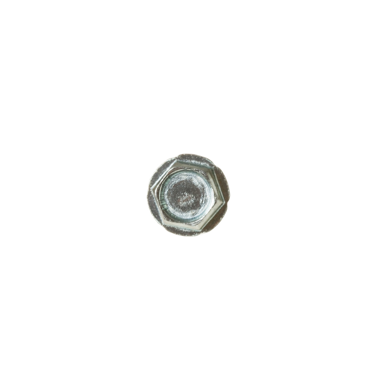 WD2X448-3070.jpg