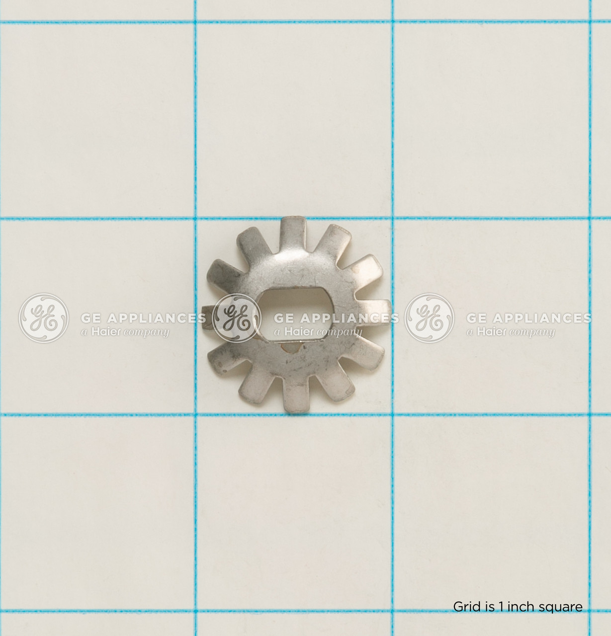 WR01X10982-6658.jpg