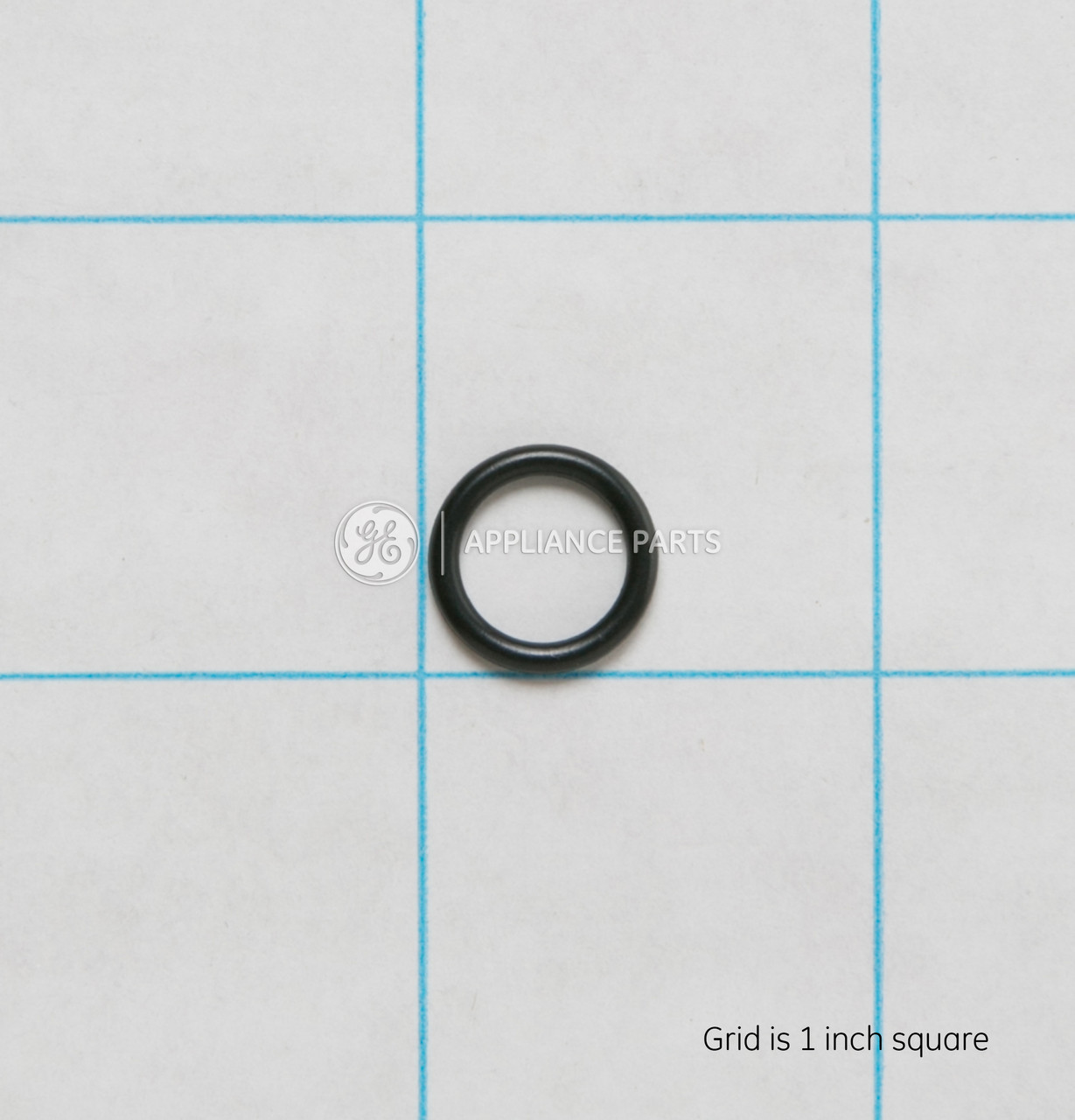 WS03X10024-1674.jpg