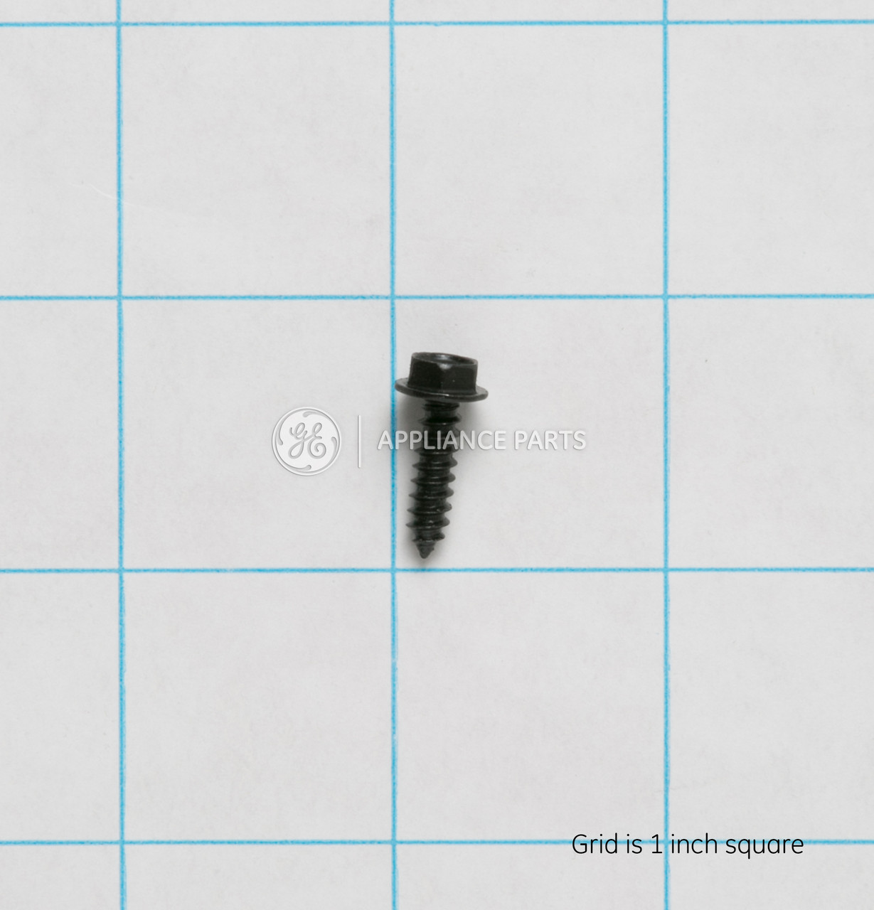 WH2X1186-6747.jpg