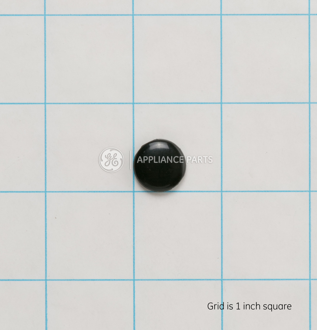 WR01X10733_6792.jpg WR01X10733_6792.jpg