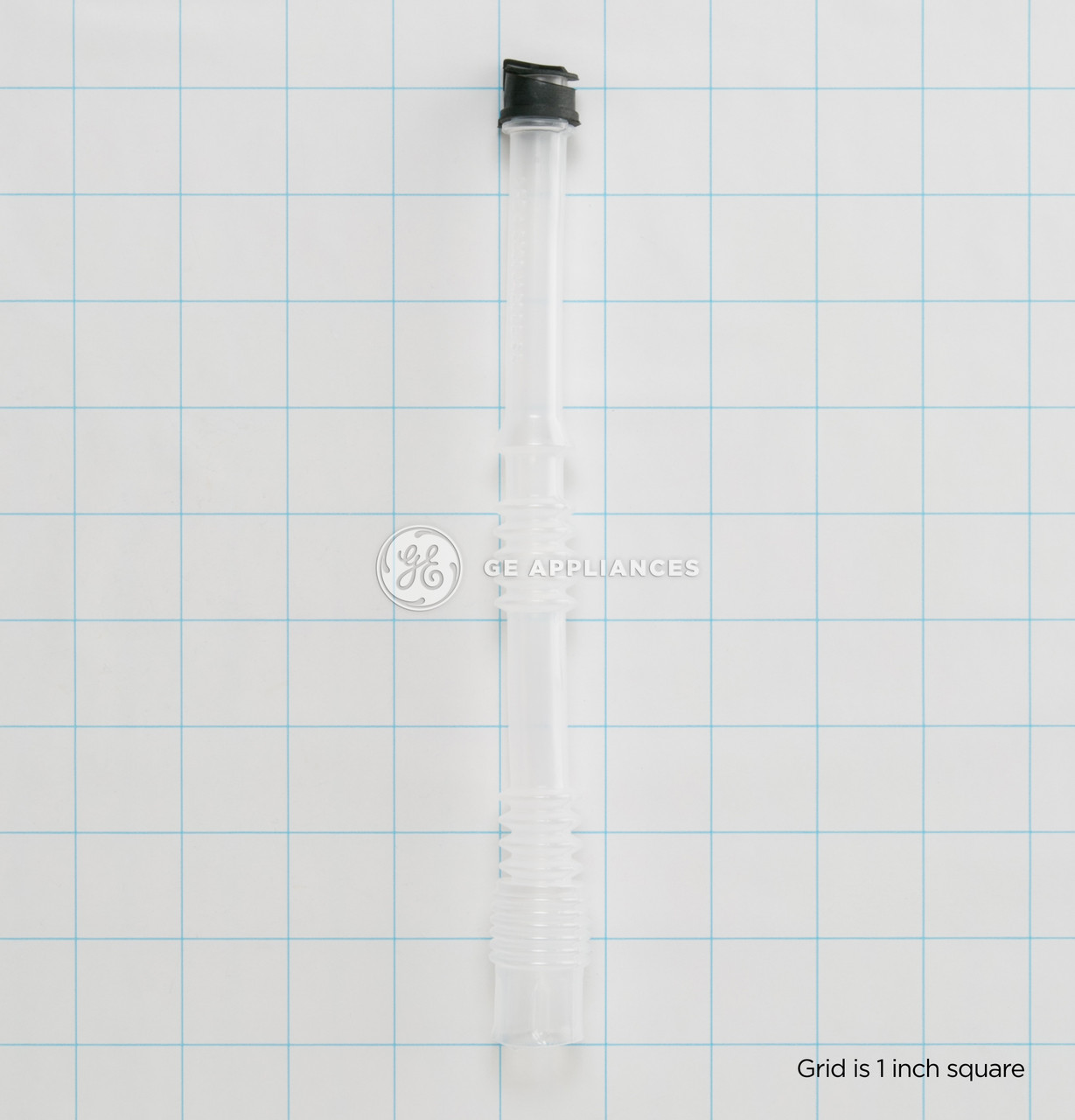 WR02X11697-5851.jpg WR02X11697-5851.jpg