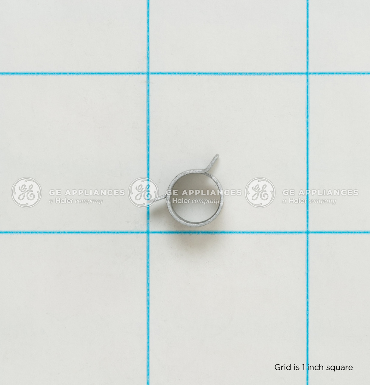 WH16X10152-3328.jpg