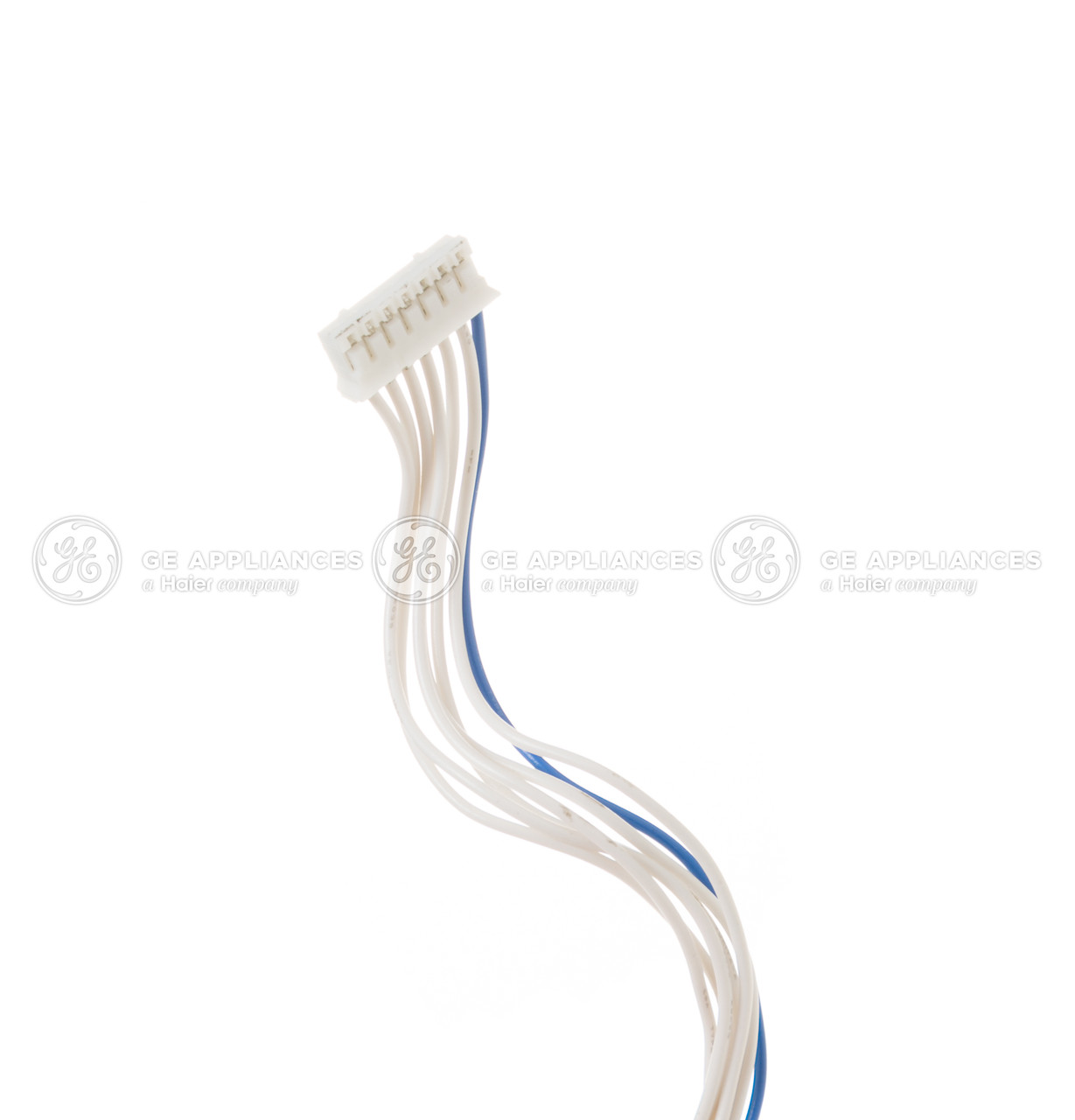 WP26X10038-2570.jpg
