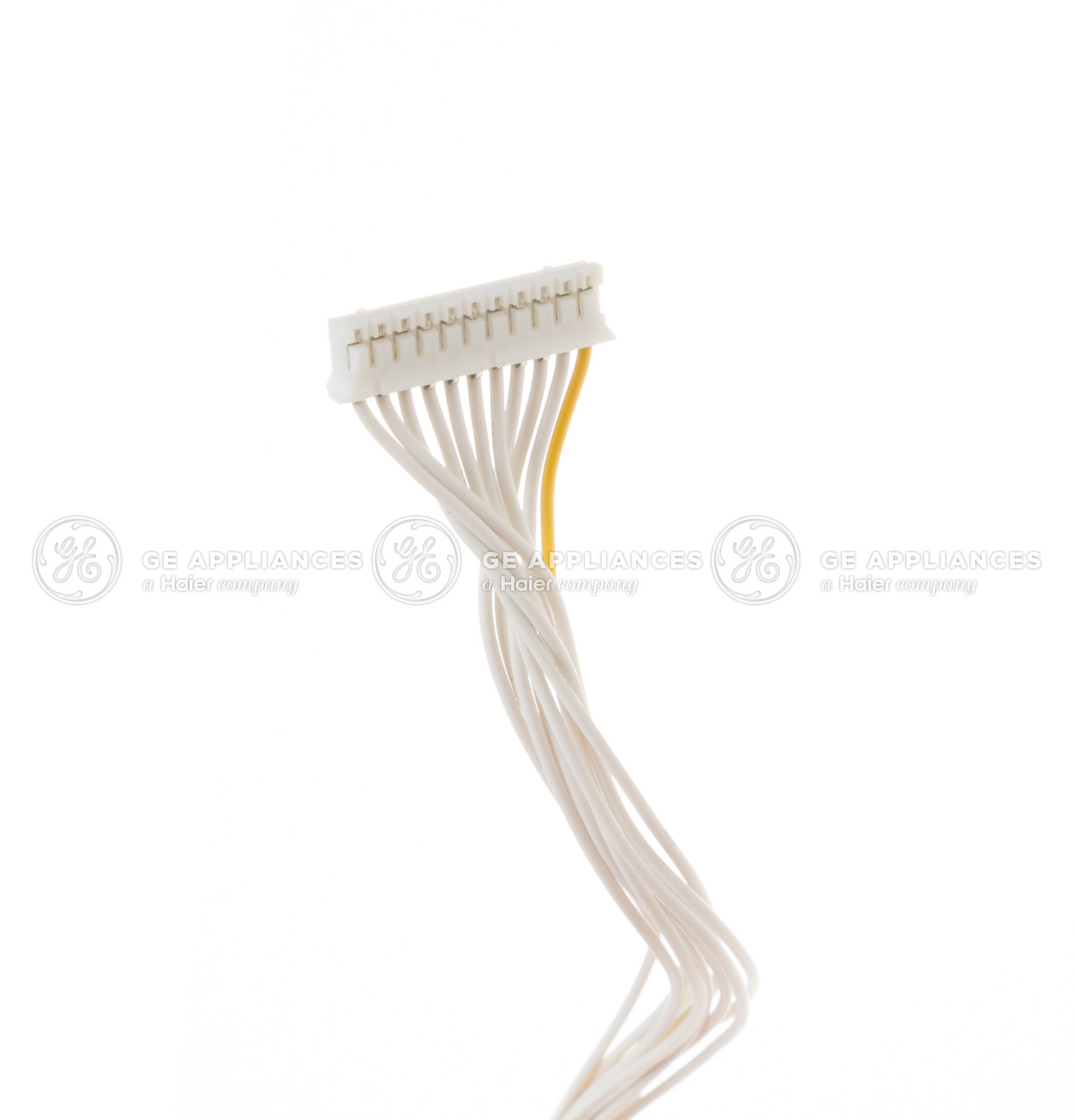 WP26X10038-2571.jpg WP26X10038-2571.jpg