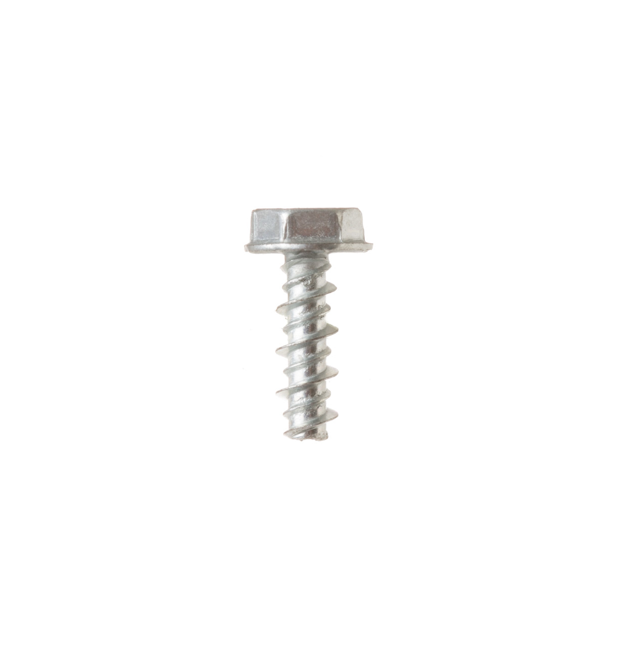 WD02X20684-8355.jpg