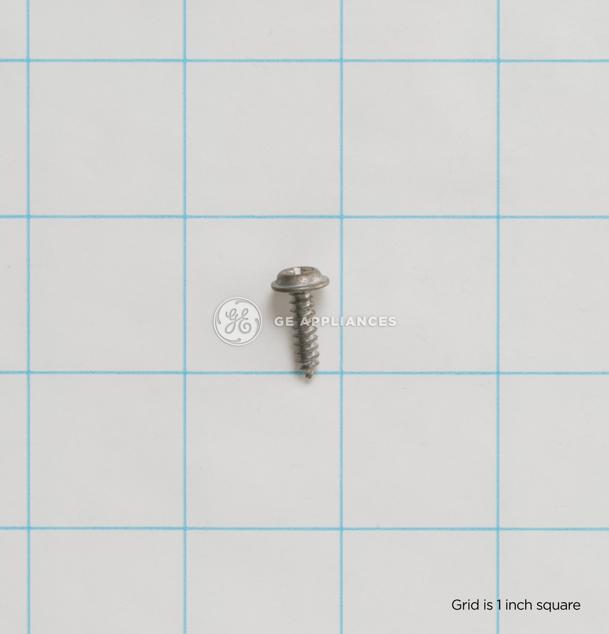WR1X1937-9895.jpg