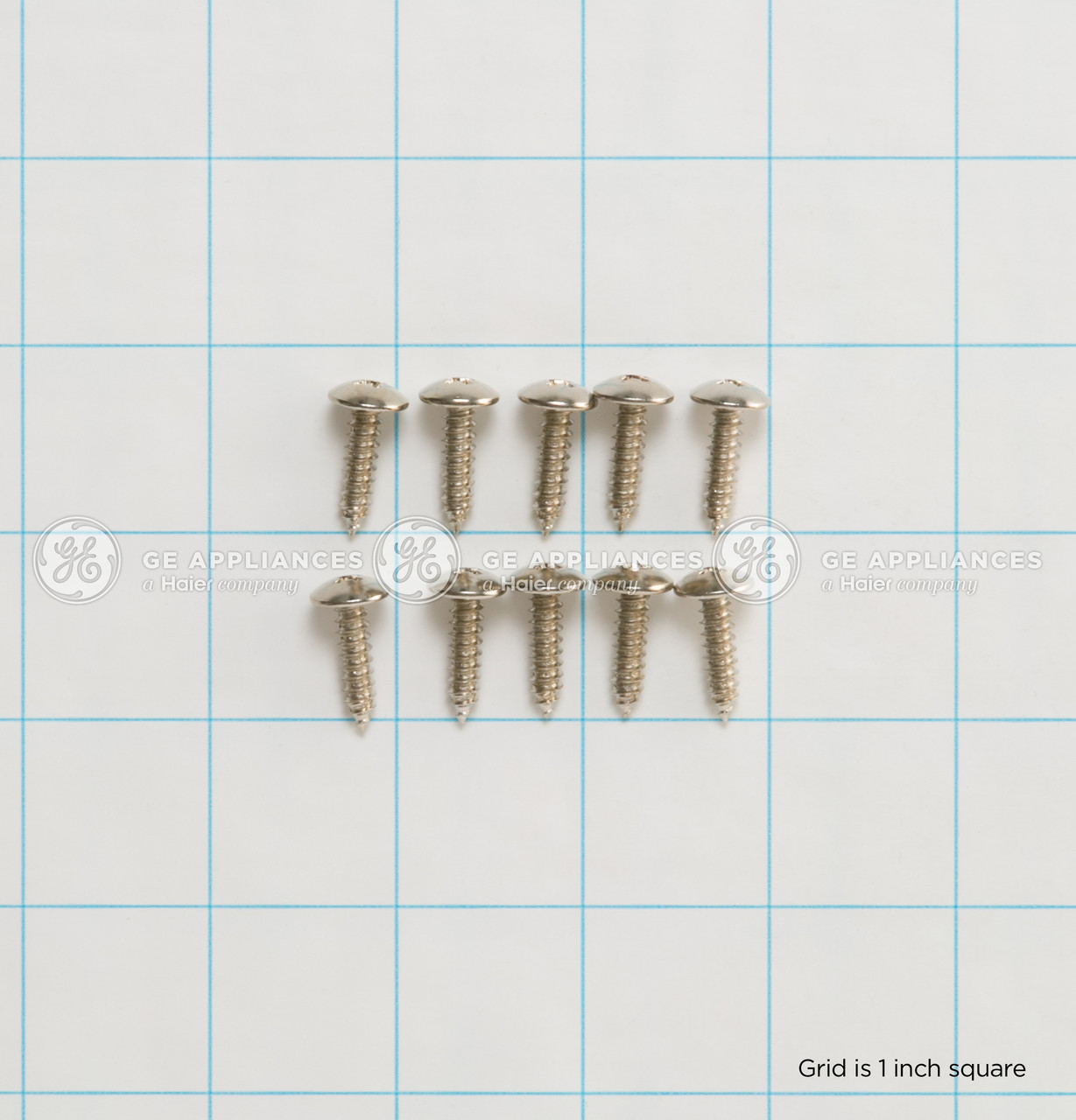 WB1X5972-4163.jpg