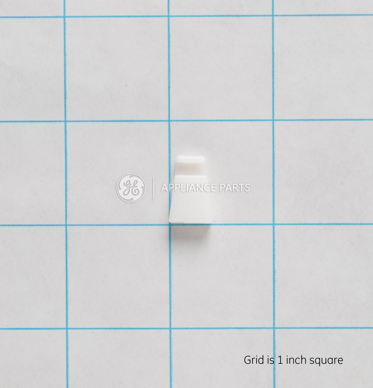 WR1X2048-3711.JPG