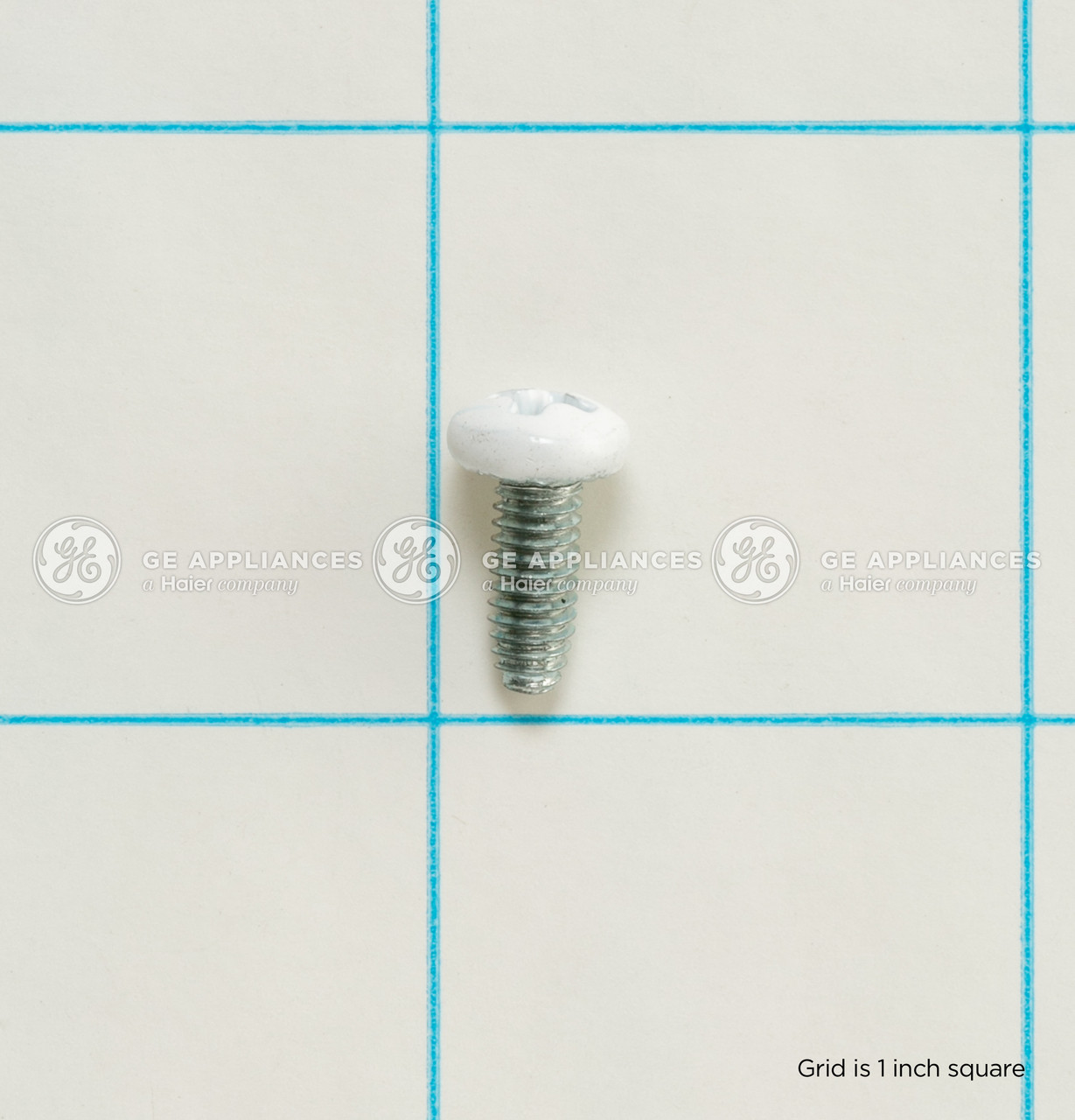 WD02X24610-5782.jpg